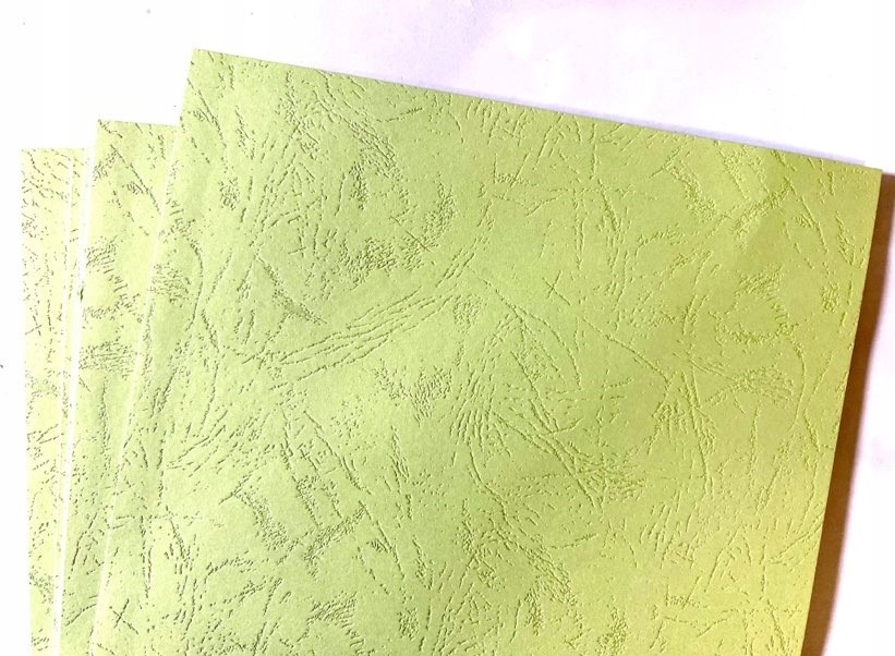 

Papier Skóra Seledynowy 230g wizytowkowy 5 ark