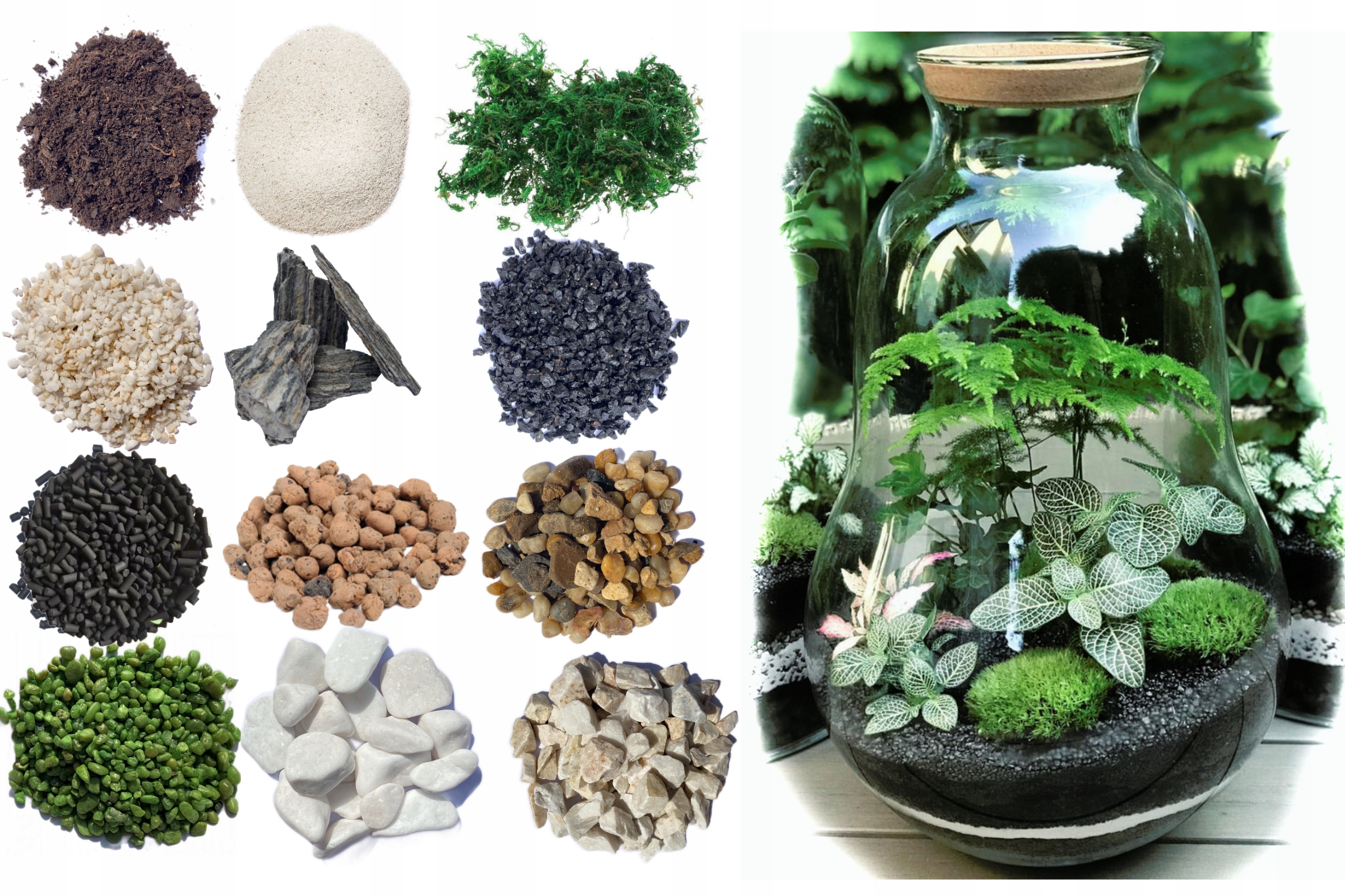 LAS W SŁOIKU SZKLE MIKROKLIMAT ZESTAW 13 SZT+ SŁÓJ