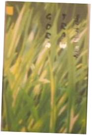 Góra traw - Nan Huai chin