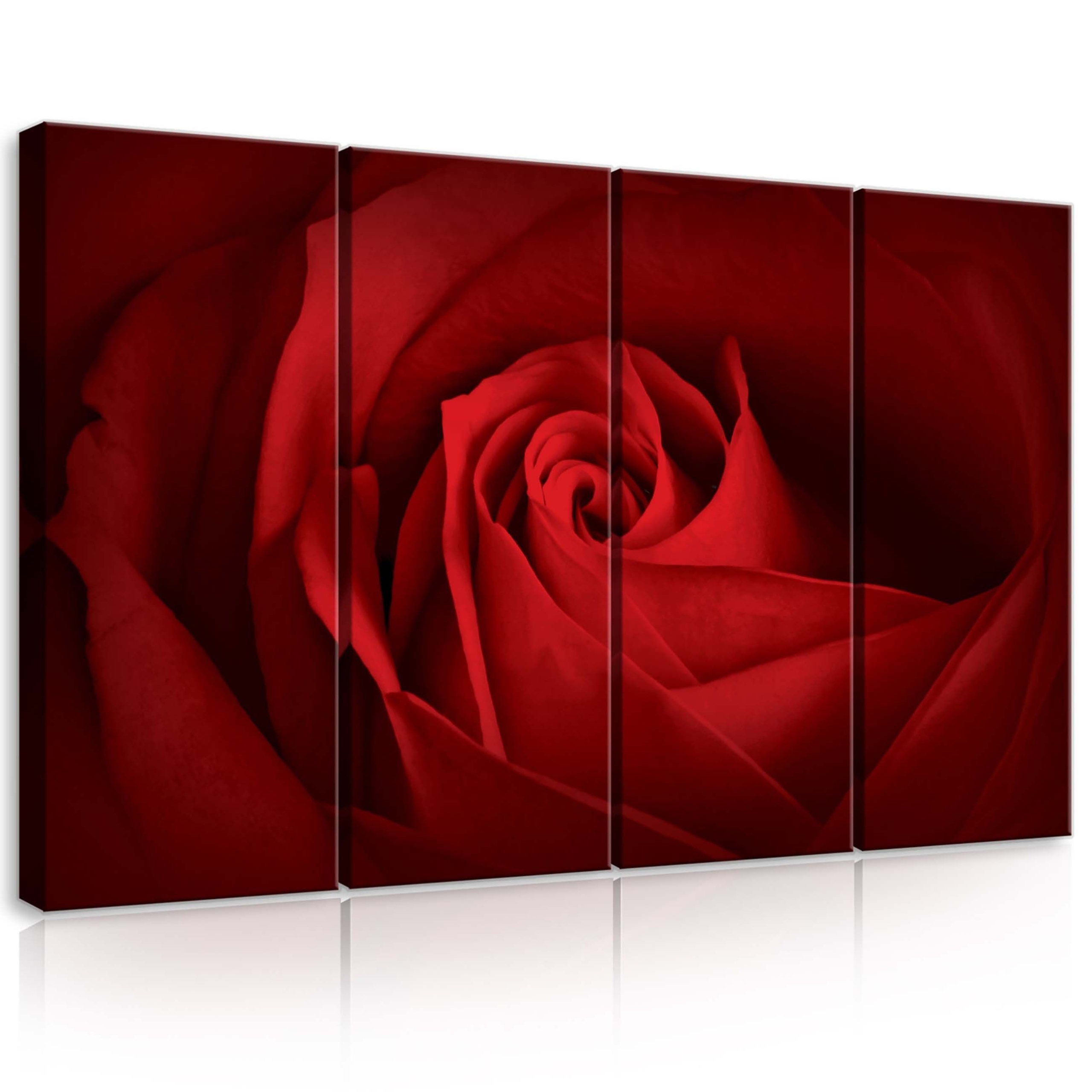 Obraz 120x80 Červená růže květinové okvětní lístky vášeň láska elegance příroda