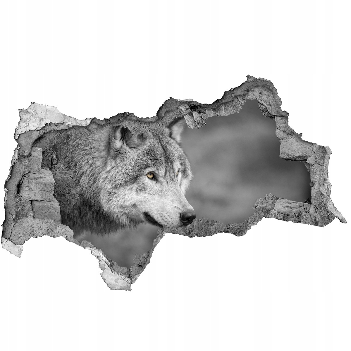 

Dziura 3d fototapeta na ścianę Szary wilk 115x88