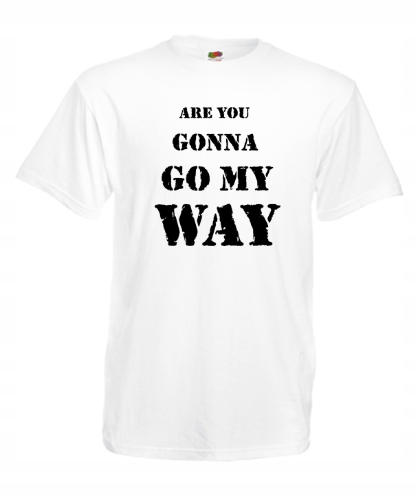 

XXL Koszulka Męska Lenny Kravitz Koncert Wzory