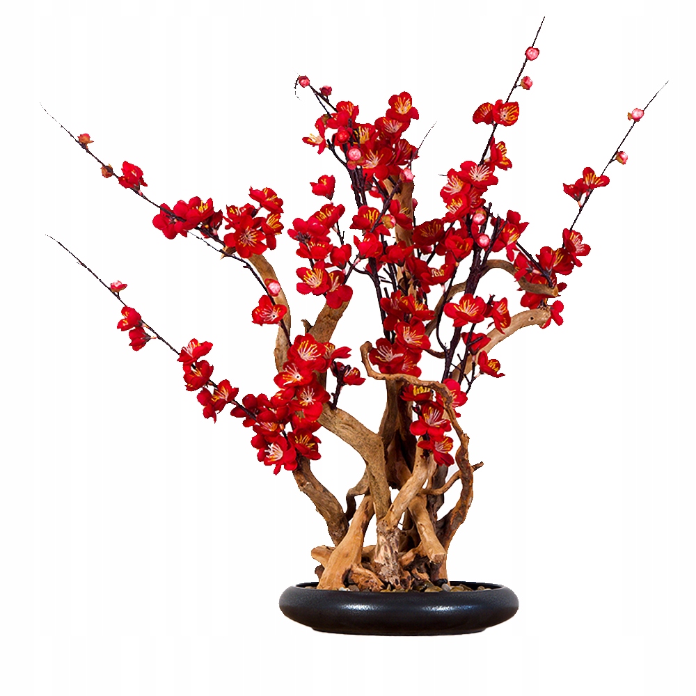 Izbová dekoratívna bonsai Red plum (PN-37)