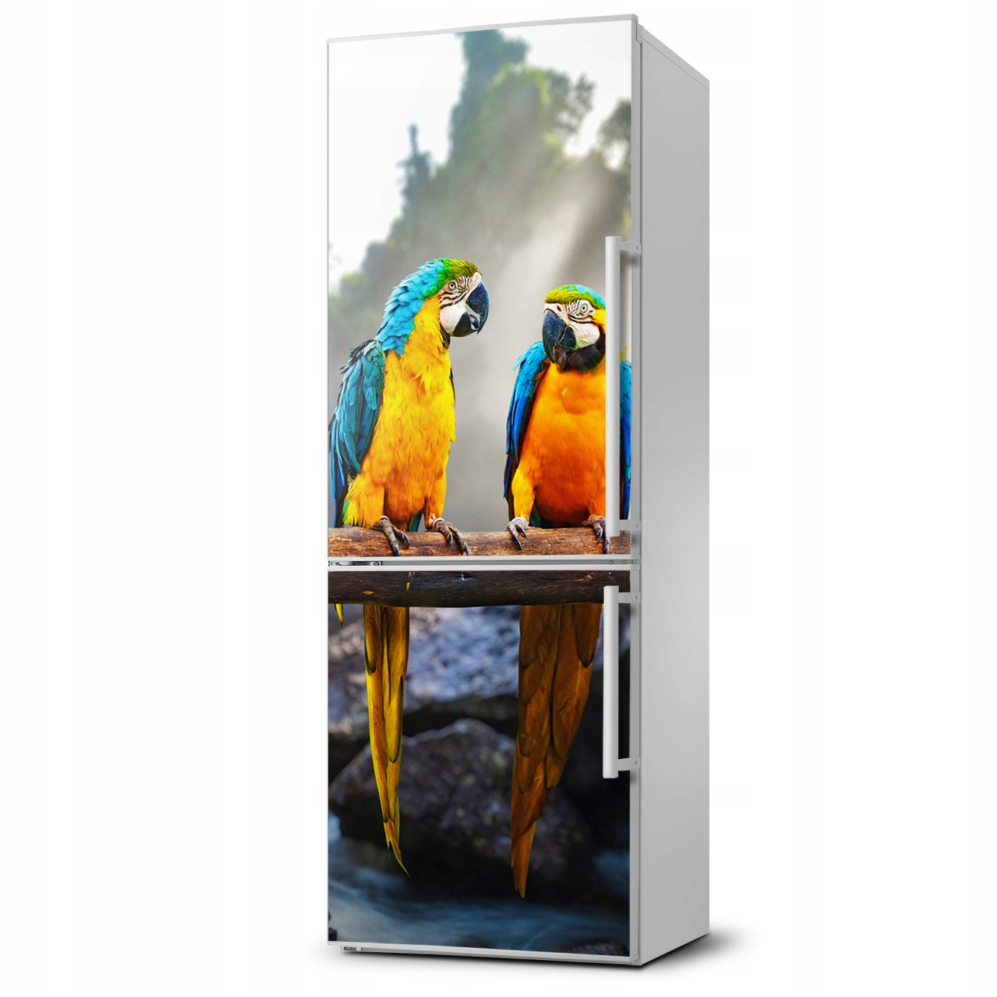 

Mata magnetyczna na lodówkę Papugi Ary 60x180