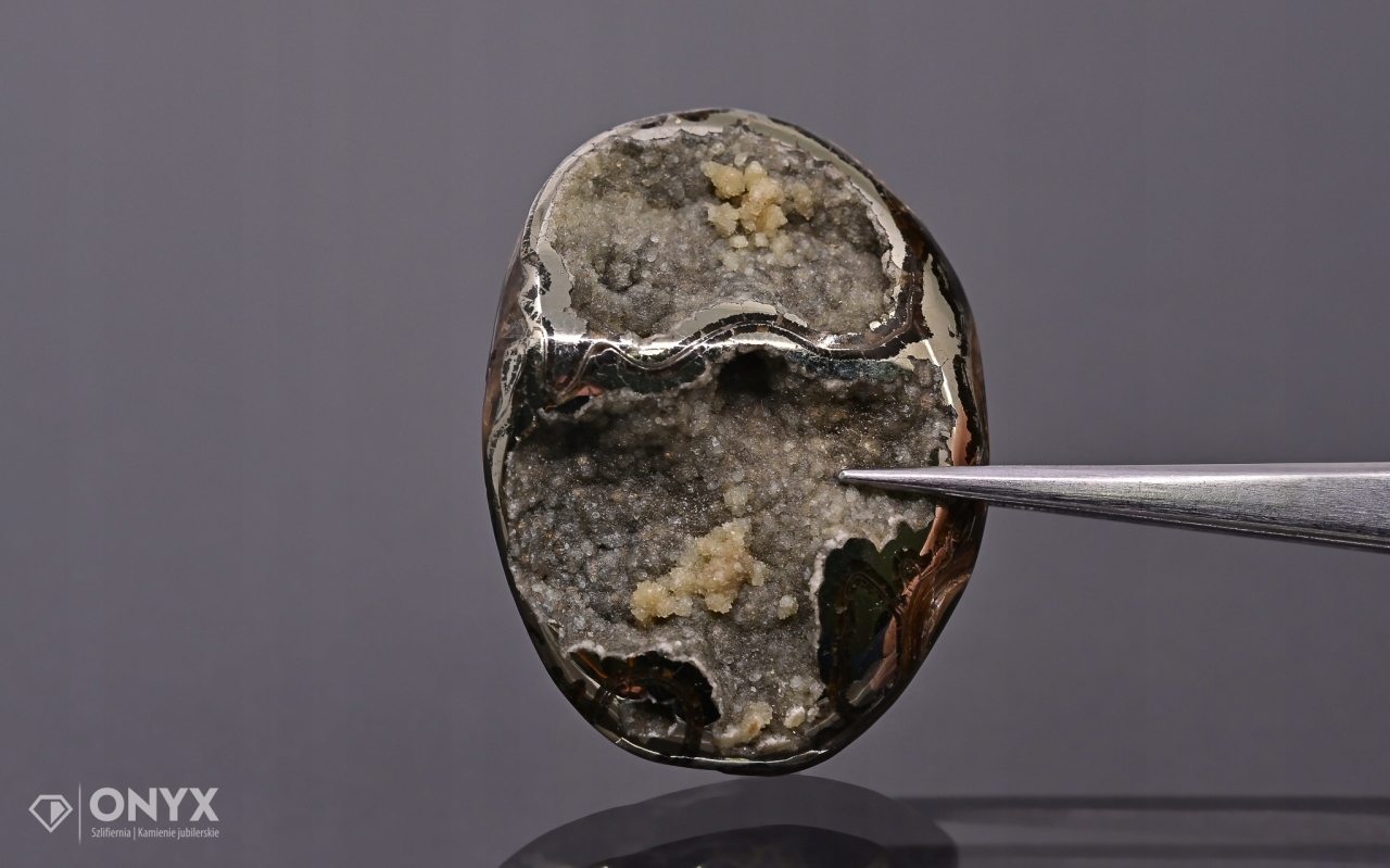 Amonit spiritizovaný nepravidelný 39x29 mm