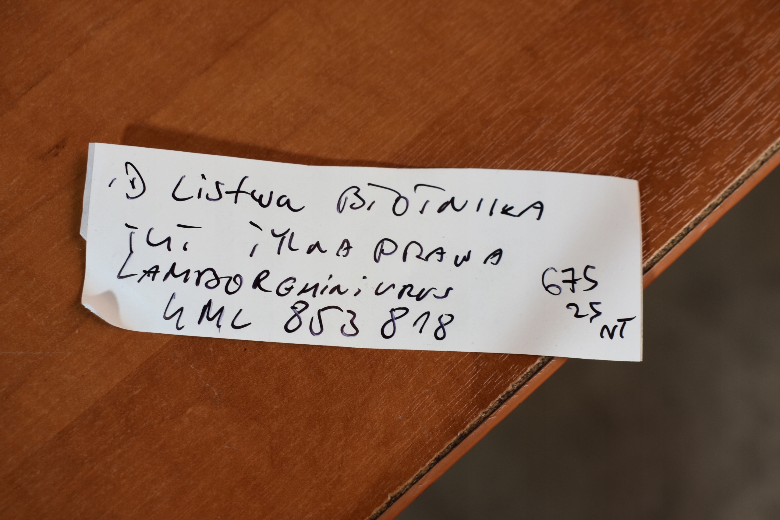 IDEALNA modanatura parafango posteriore posteriore Destro LAMBORGHINI URUS 1