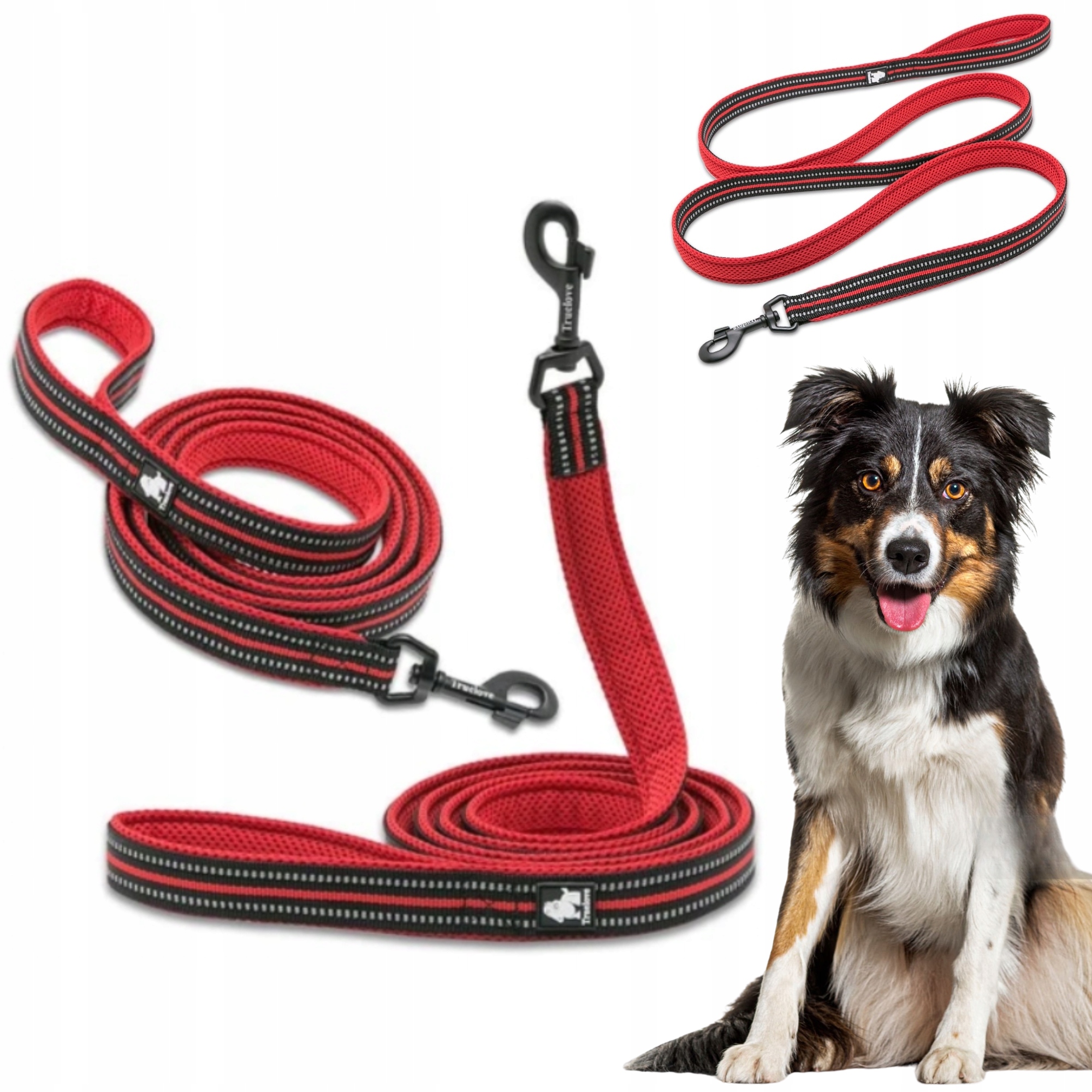 Levně Vodítko Pro Psa Reflexní Silná Truelove Active Červená 200 CM Velikost M