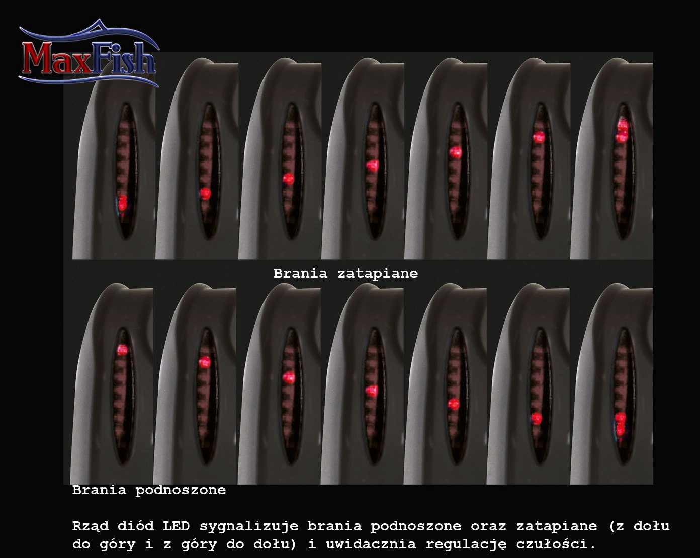 ZESTAW SYGNALIZATORÓW CORMORAN F-4000 - 4+1 Model Pro Carp F-4000