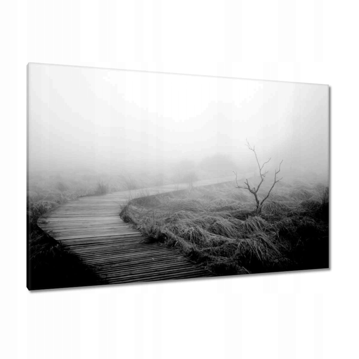 Obrazy 120x80 Řeskový úsvit