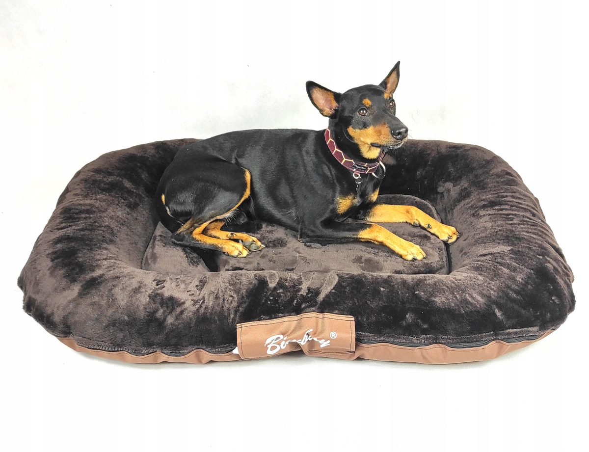 

3XL Duże Legowisko Ponton Posłanie Dla Psa Psów