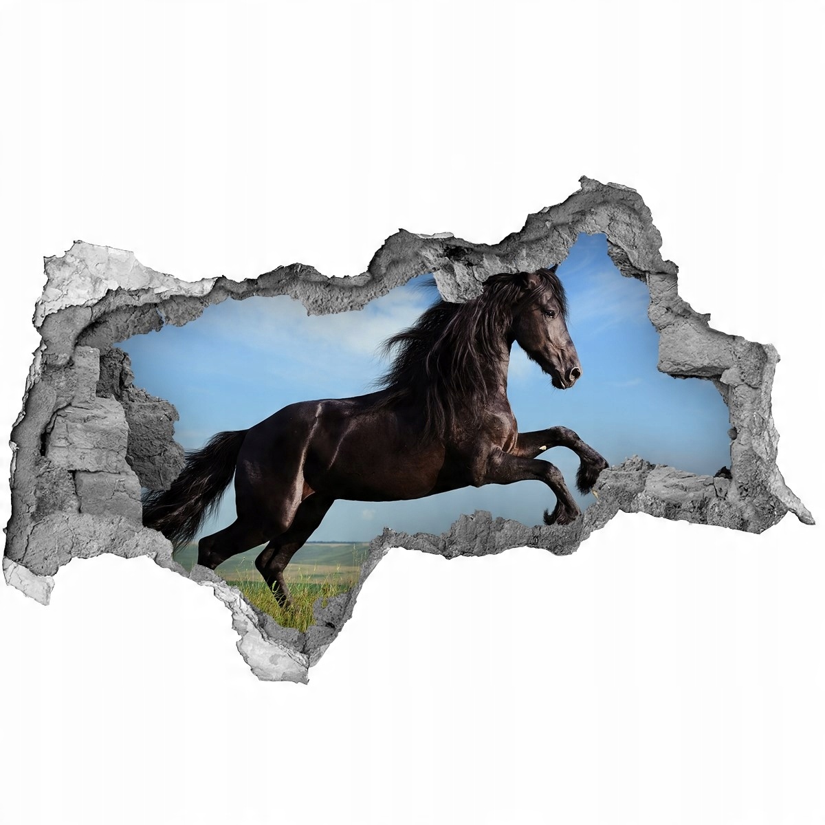 

Dziura 3d fototapeta na ścianę Czarny koń na łące