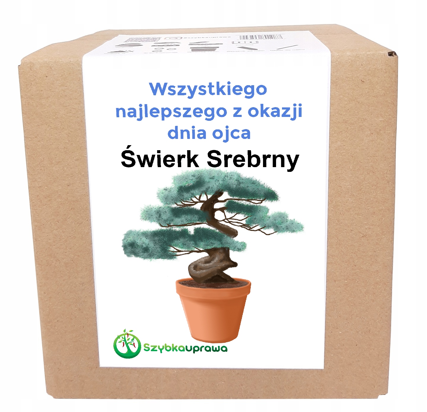

Świerk srebrny drzewko bonsai Dzień Ojca