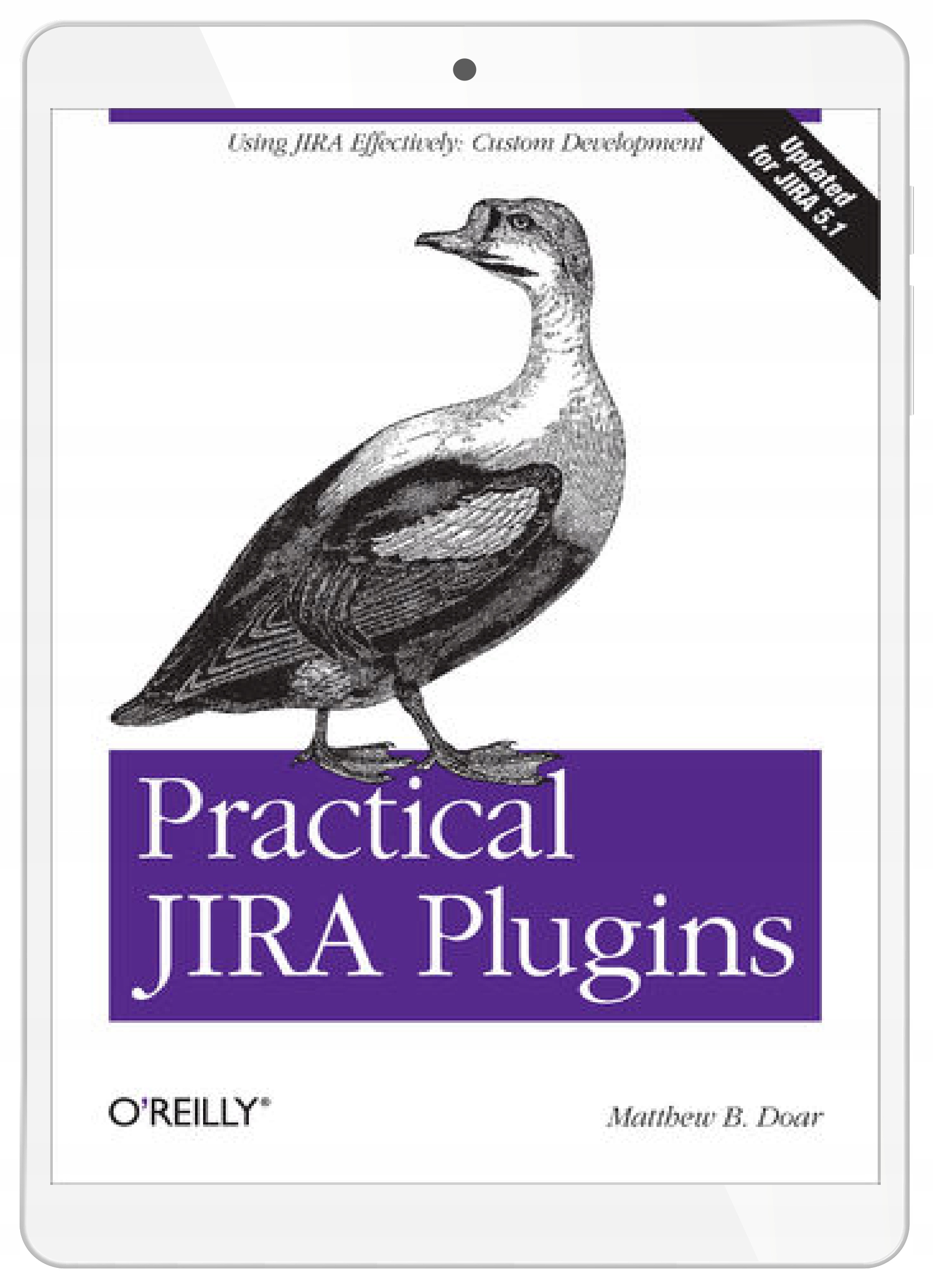 Practical JIRA Plugins. Using JIRA Effectively