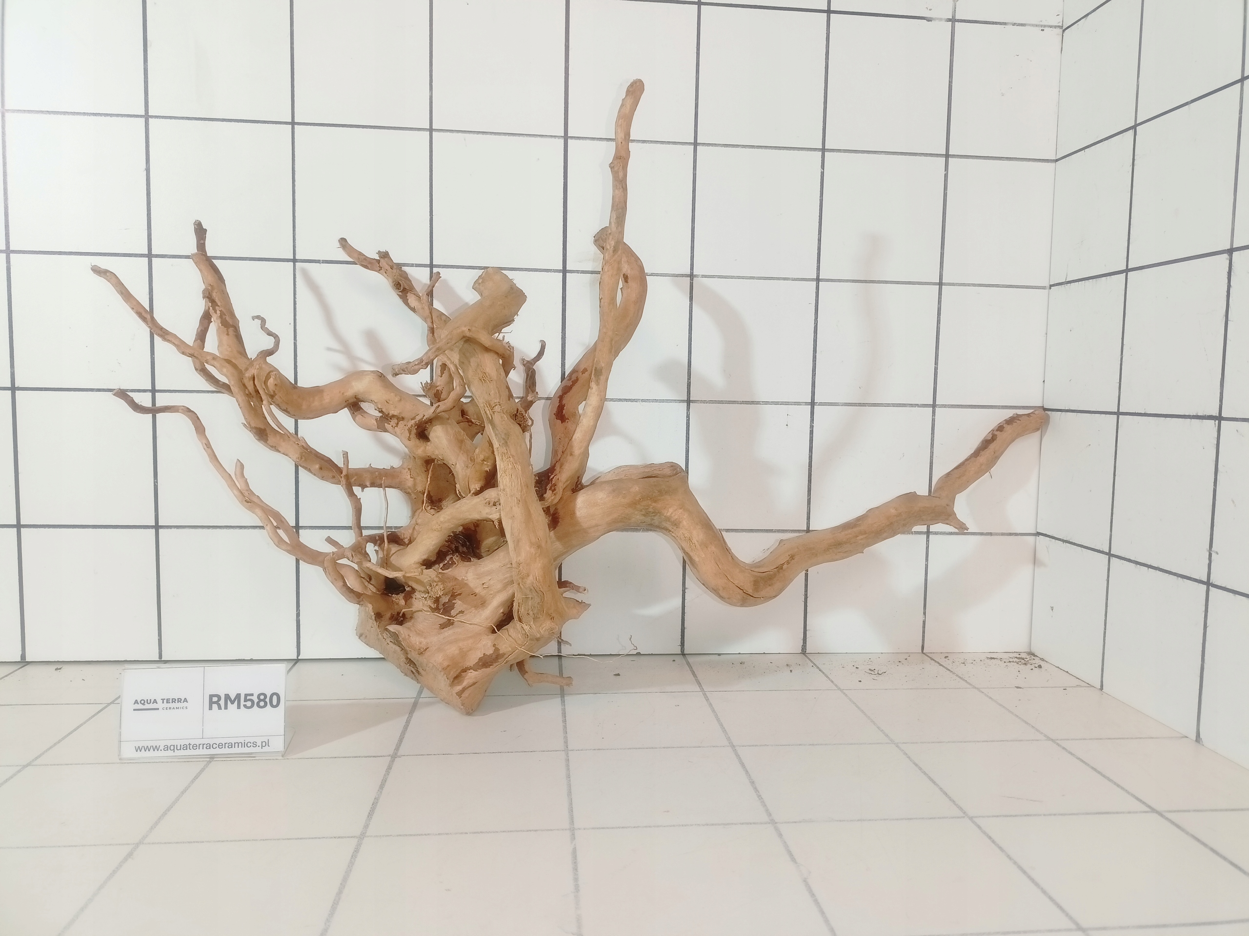 Korzeń Japoński Do Akwarium Terrarium Red Moor RM580 (to co na zdjęciu)