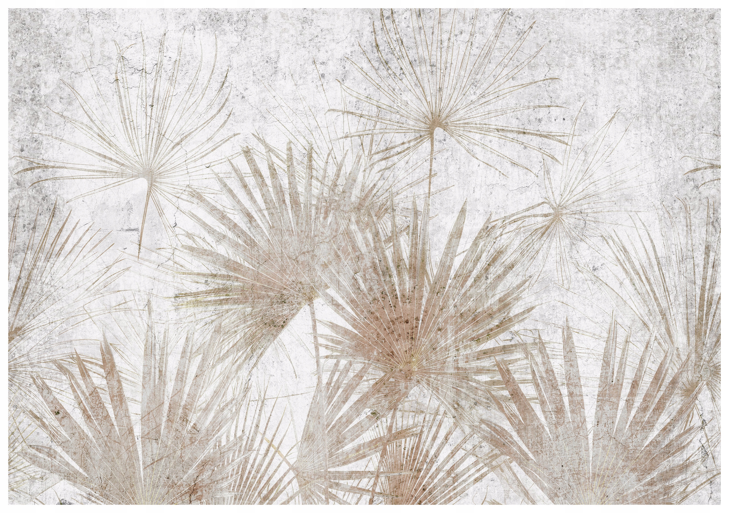 Fototapeta Palmy Beton Listy Vzory Grafika Textúra 350x250 lepidlo