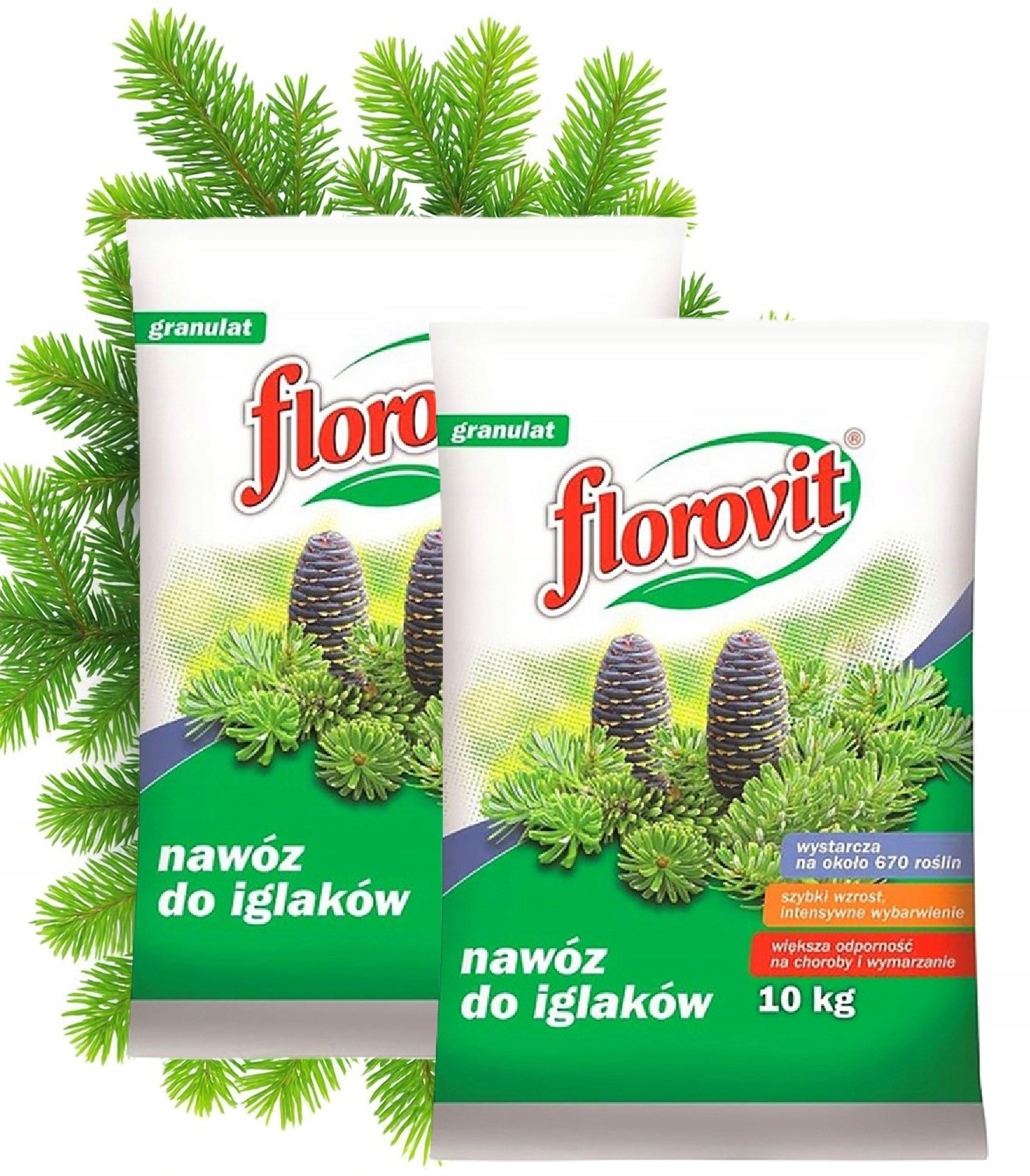 Nawóz do Iglaków 2x10kg Florovit regeneracja odżywienie i ochrona roślin