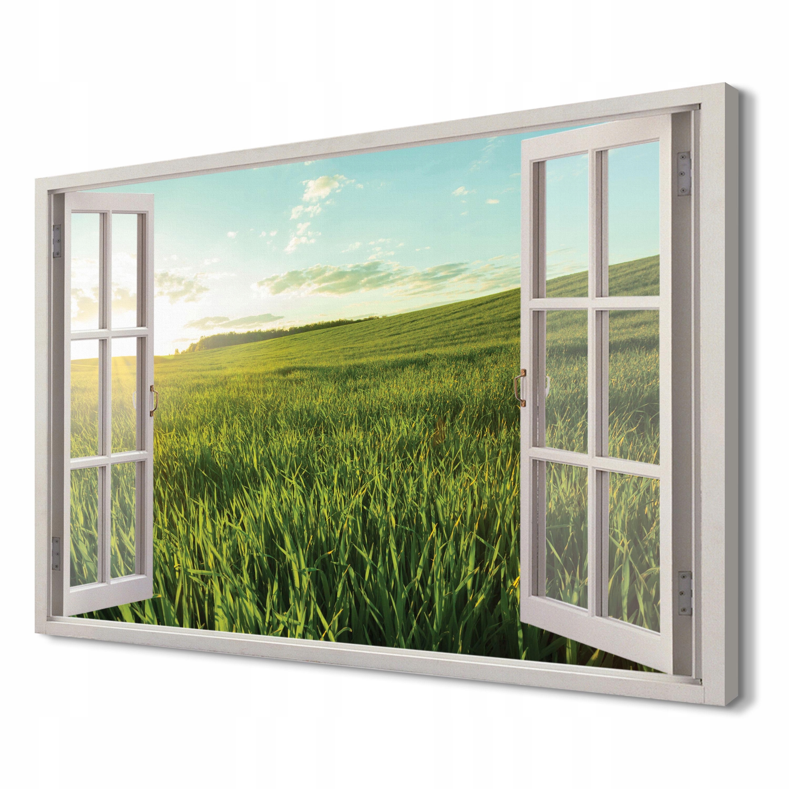 

Zielona łąka Foto-obraz canvas 3d 120x80 do pokoju