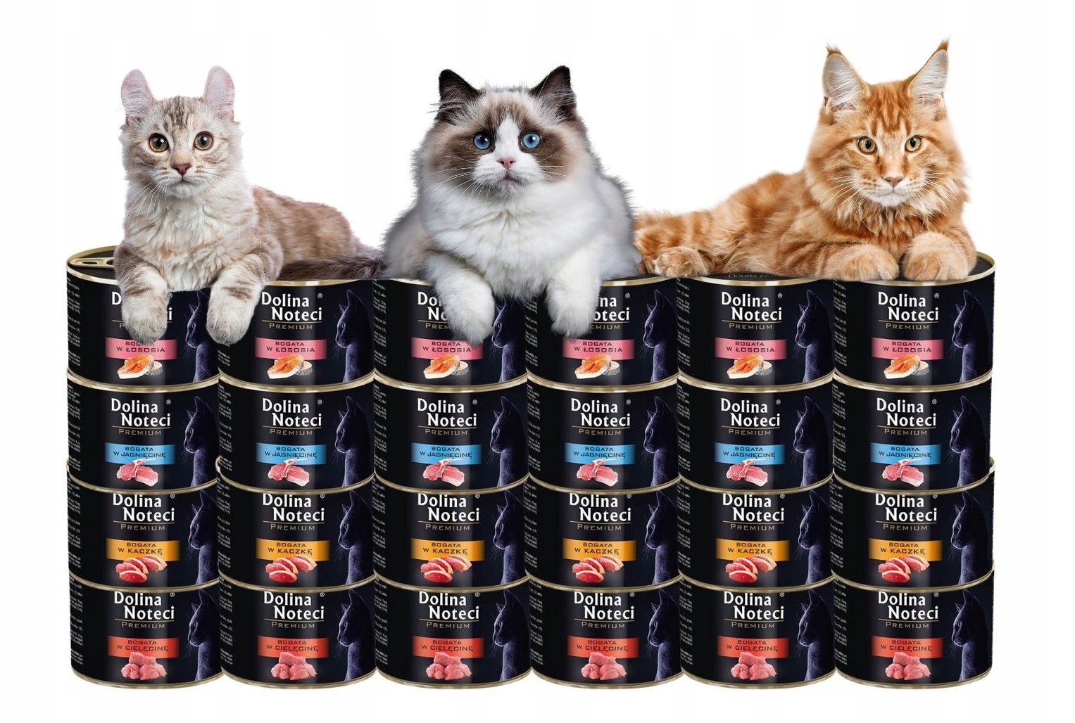 Dolina Noteci Premium Mokré krmivo pro kočky mix chutí 24x185 g