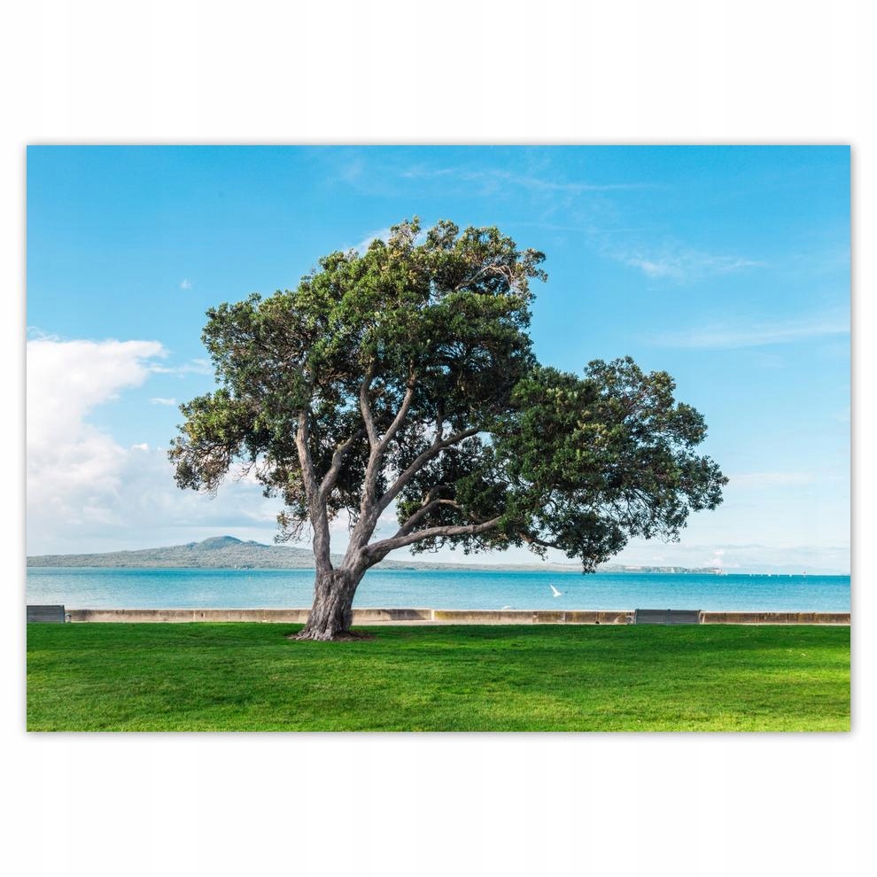 

Plakaty 70x50 Nie do złamania