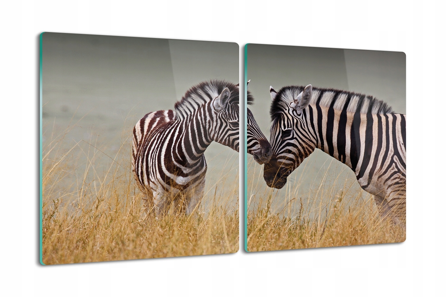 Prkénko na krájení Premium z tvrzeného skla 2x40x52 Zebra pár louka