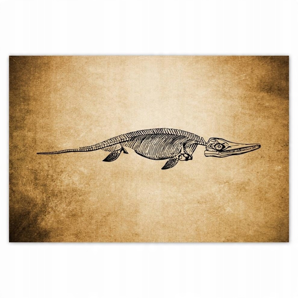 

Plakaty 60x40 Dinozaur Prehistoria Dino