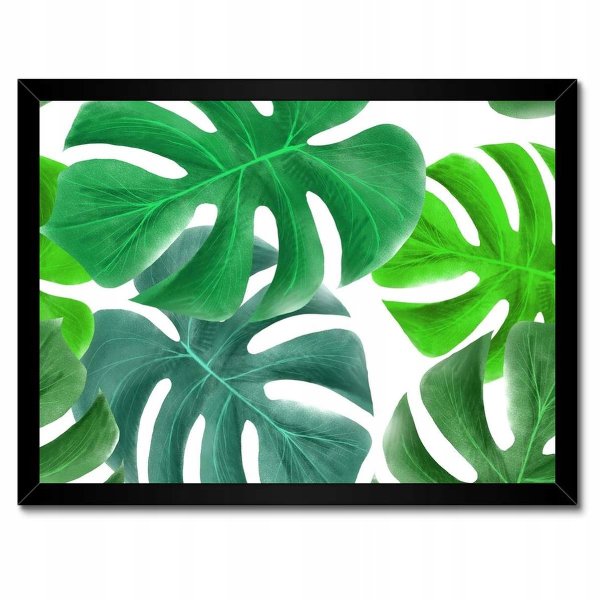 Plakáty v rámu 40x30 Listy Monstery Tropiky