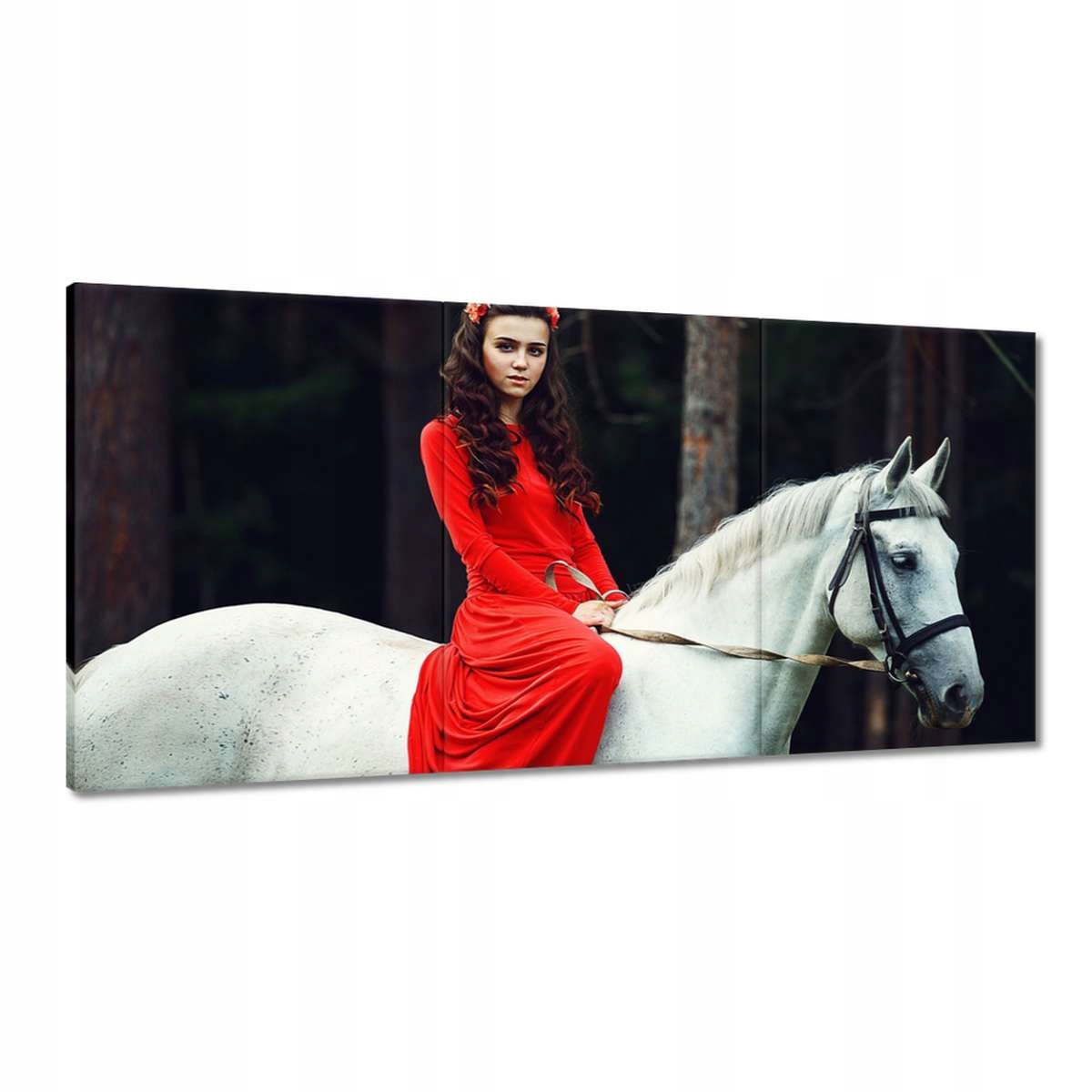 Obrazy 180x90 Kôň Kone Jazdenie