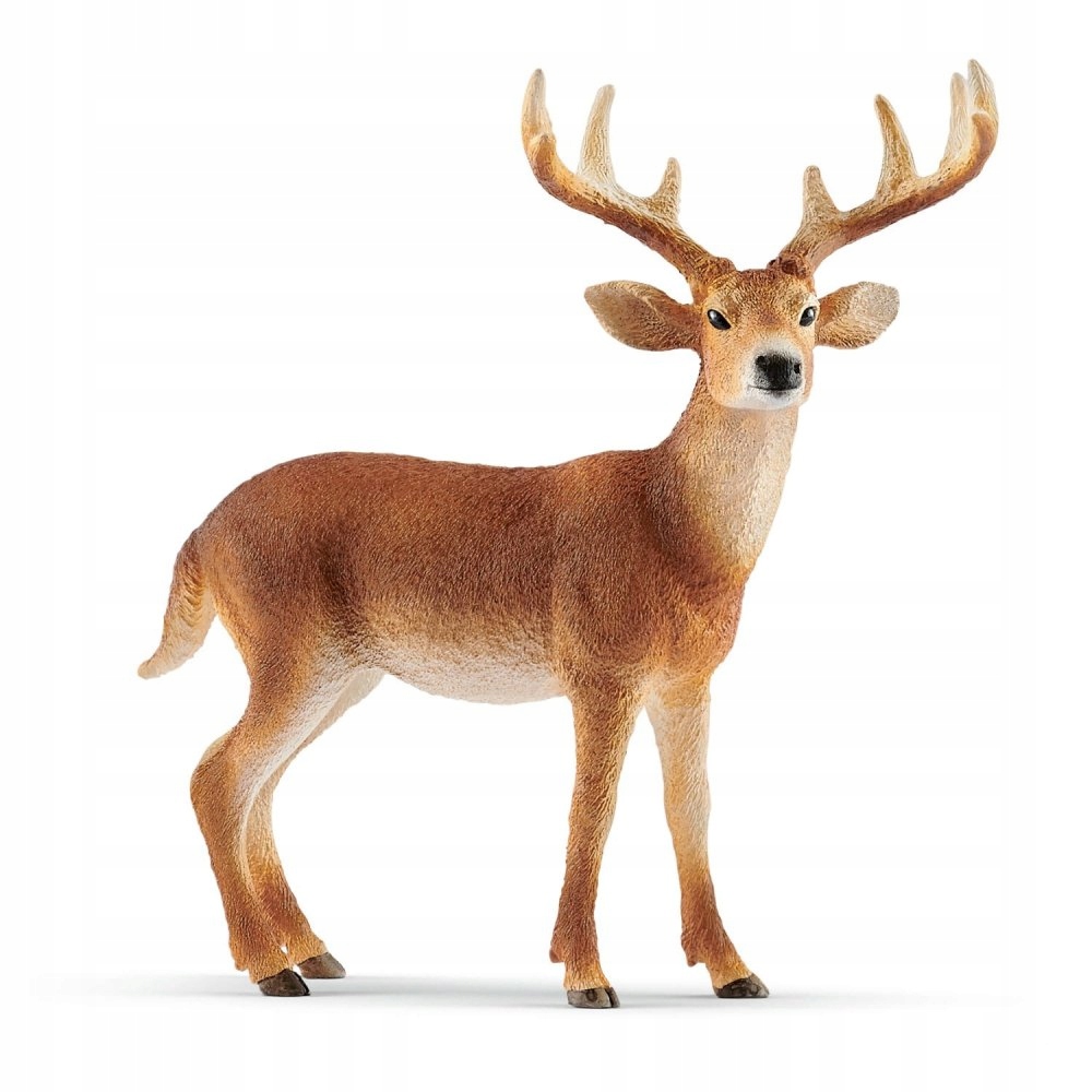 

Schleich Mulak Białoogonowy Samiec 14818