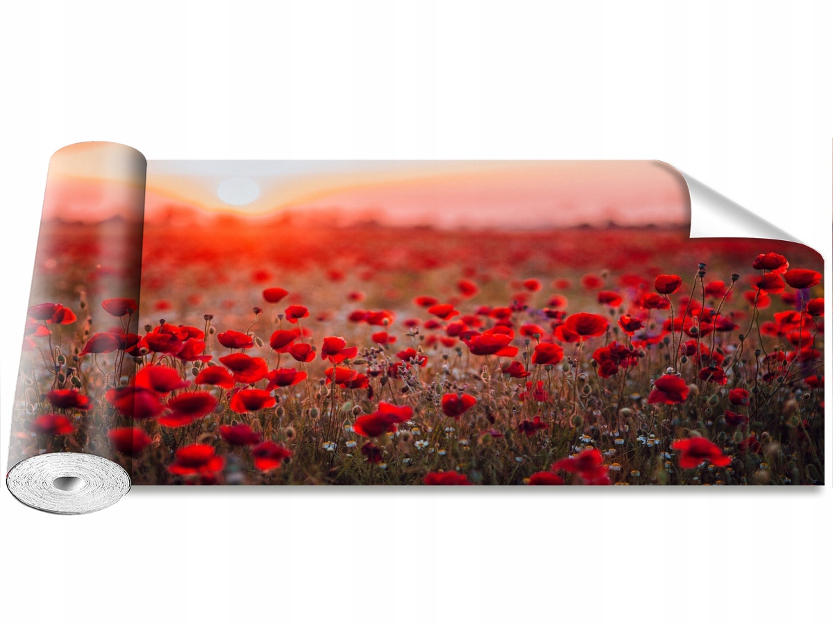 

Tapeta Samoprzylepna Pole maków 250x104