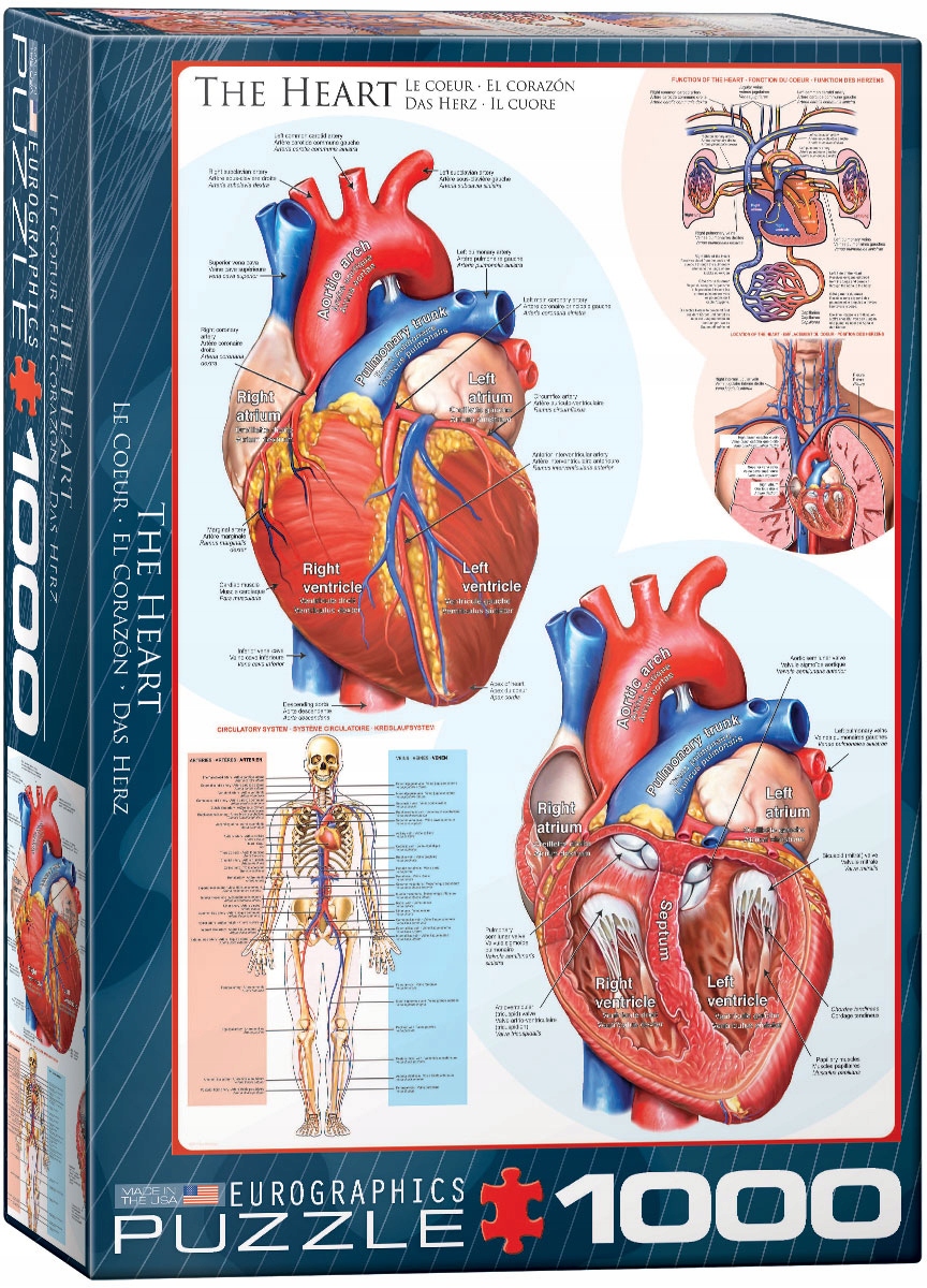 Puzzle Eurographics The Heart Serce 1000 anatomia