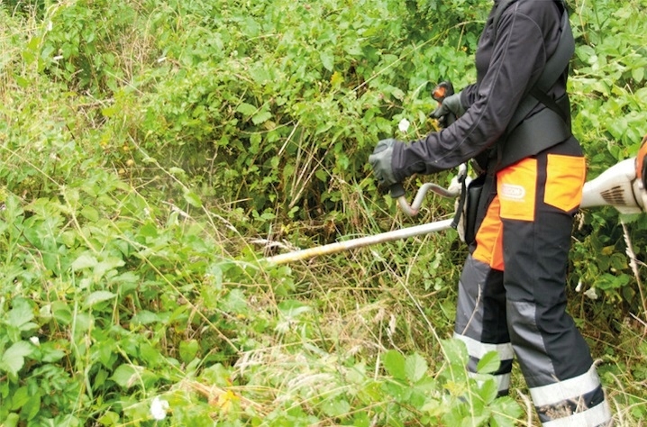 Tarcza Oregon 295497-0 Średnica 300 mm