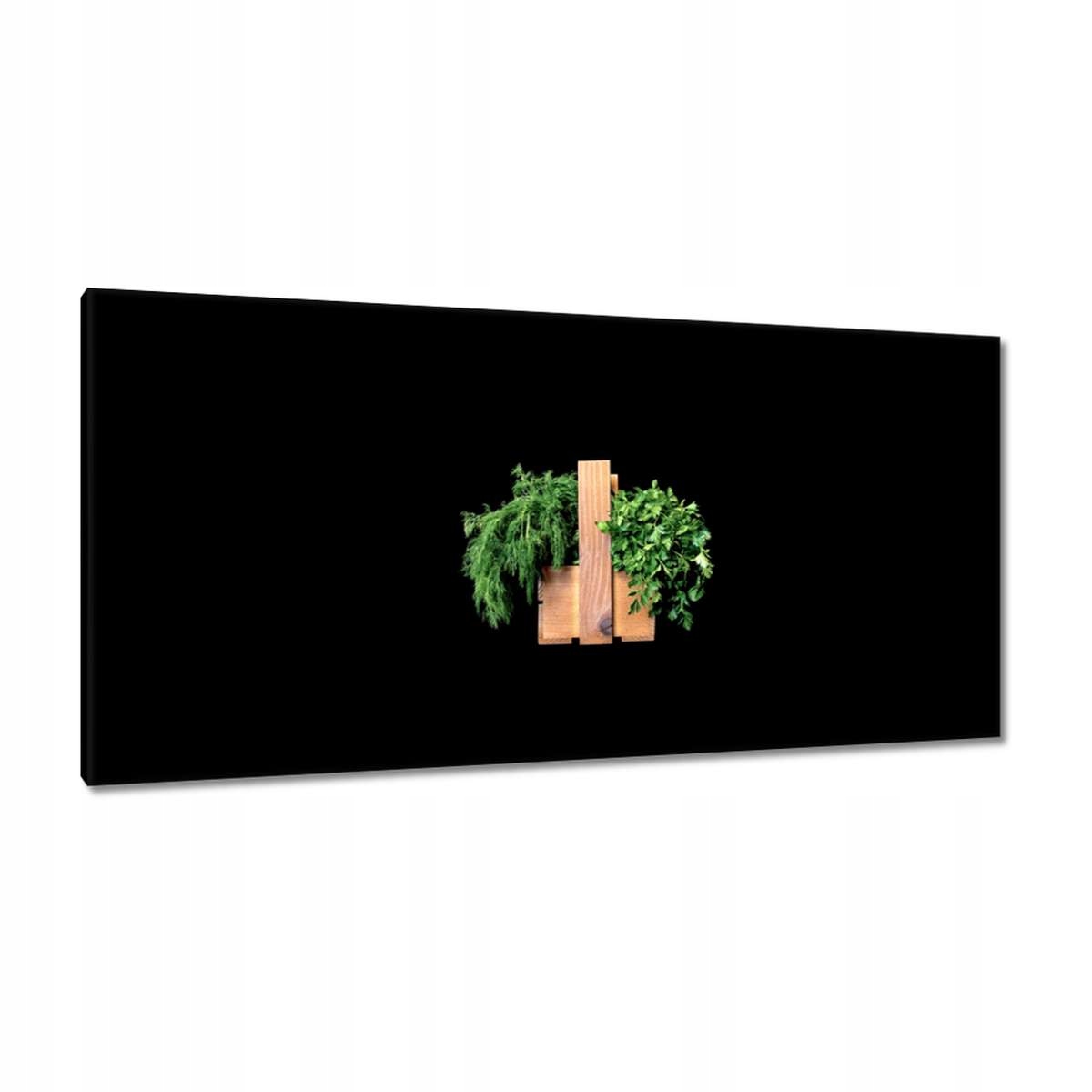 Obrazy 115x55 Petrželka Kopr bylinky