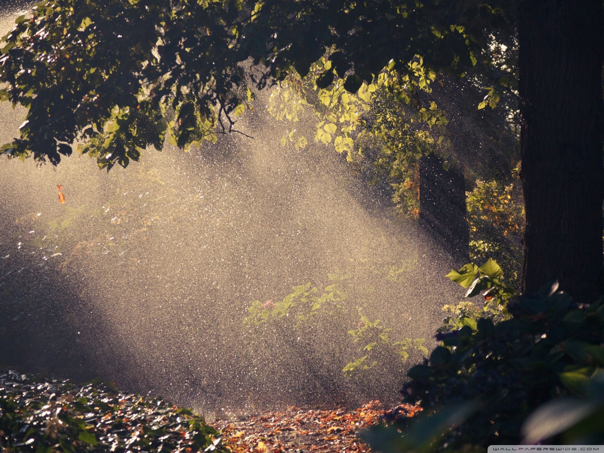 Kalosze Polskie DEMAR GRAND BLACK 0152 Rozmiar 44