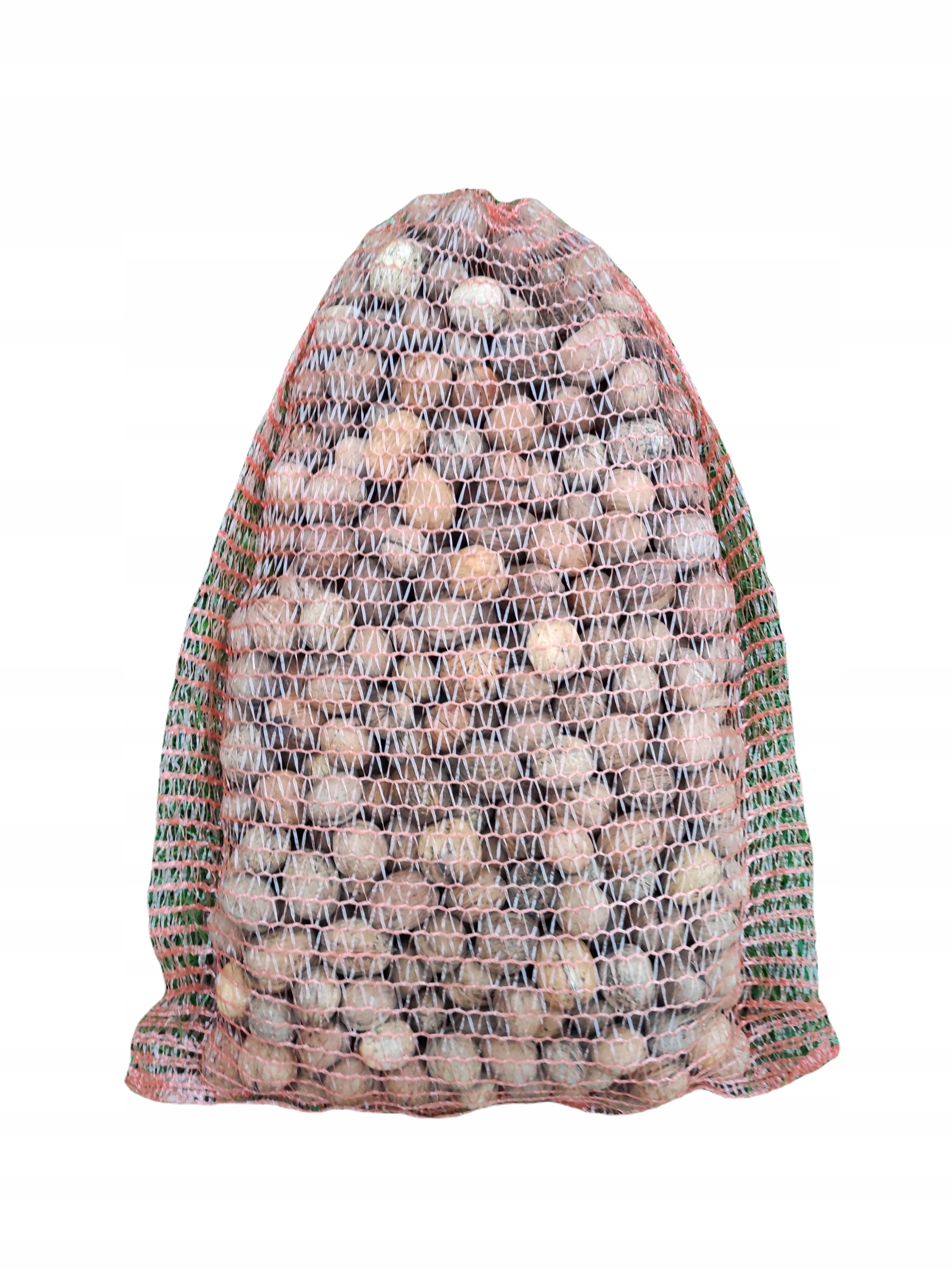 Levně Vlašské Ořechy Ve Skořápce 2025 5 kg Italský