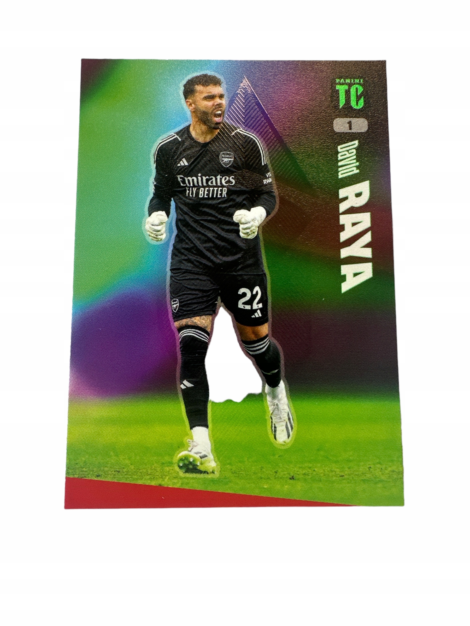 Top Class 2024 Base Cards 1 Raya