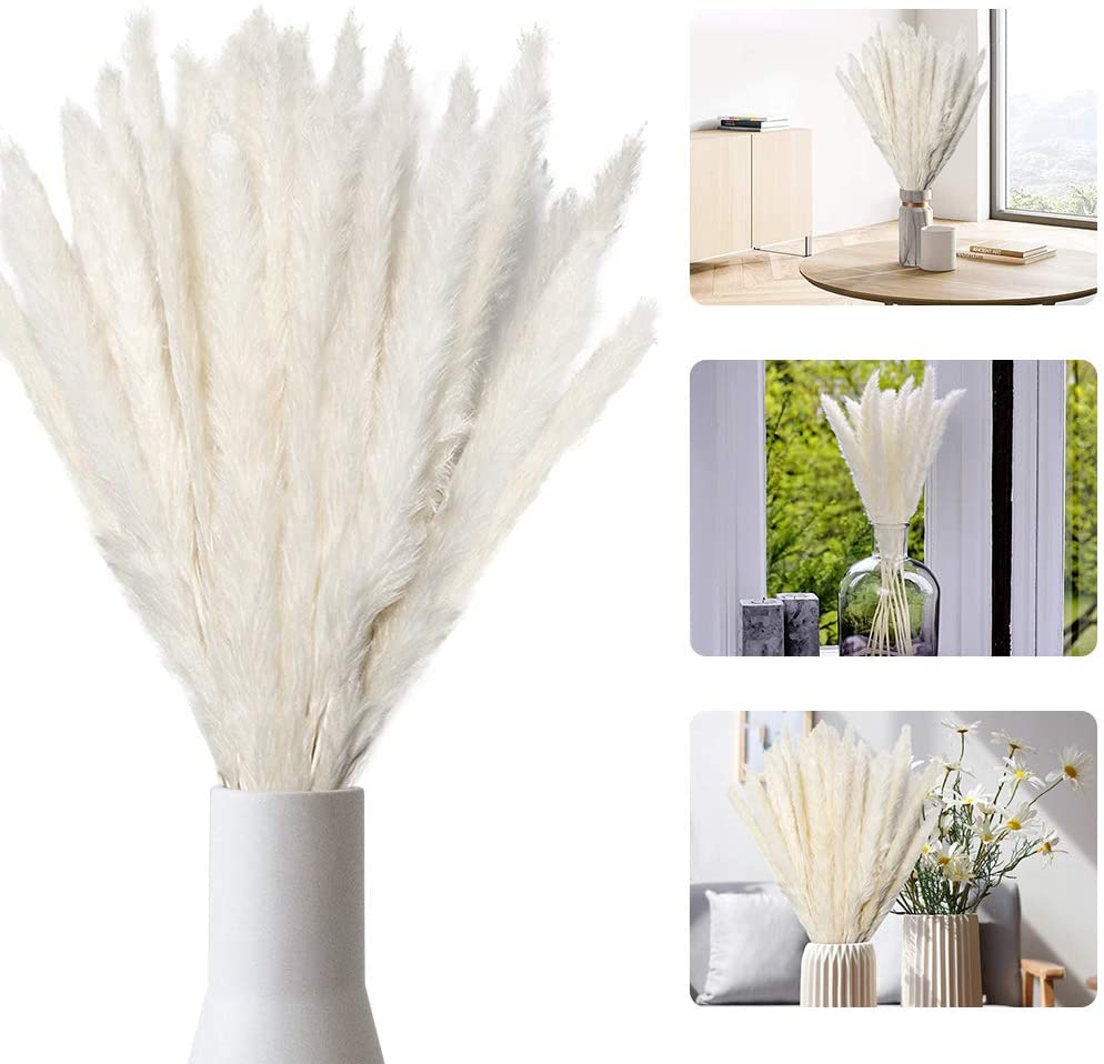 

Trawa pampasowa naturalna suszona 60cm 20 szt
