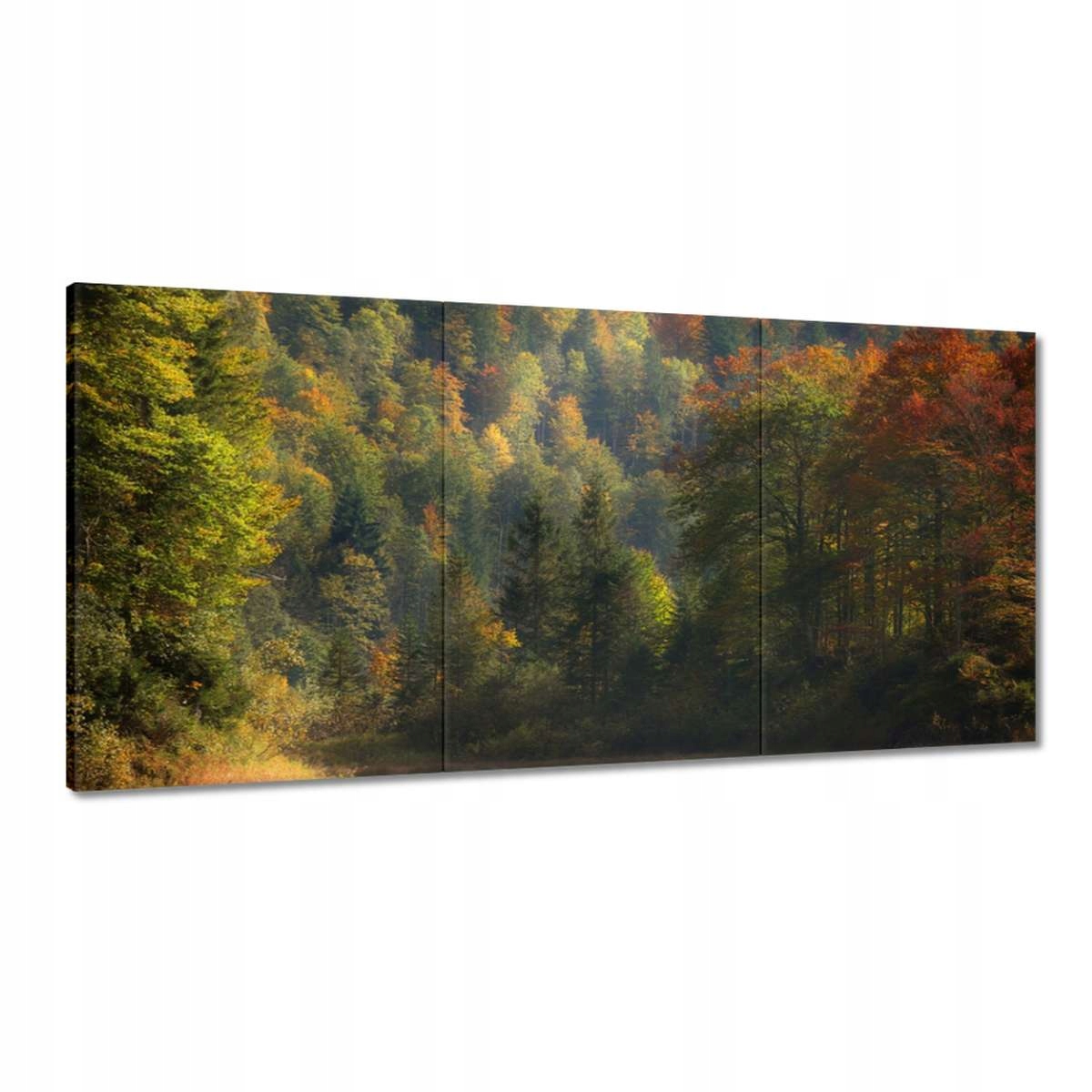 Obrazy 120x60 Lesní krajina Pohled