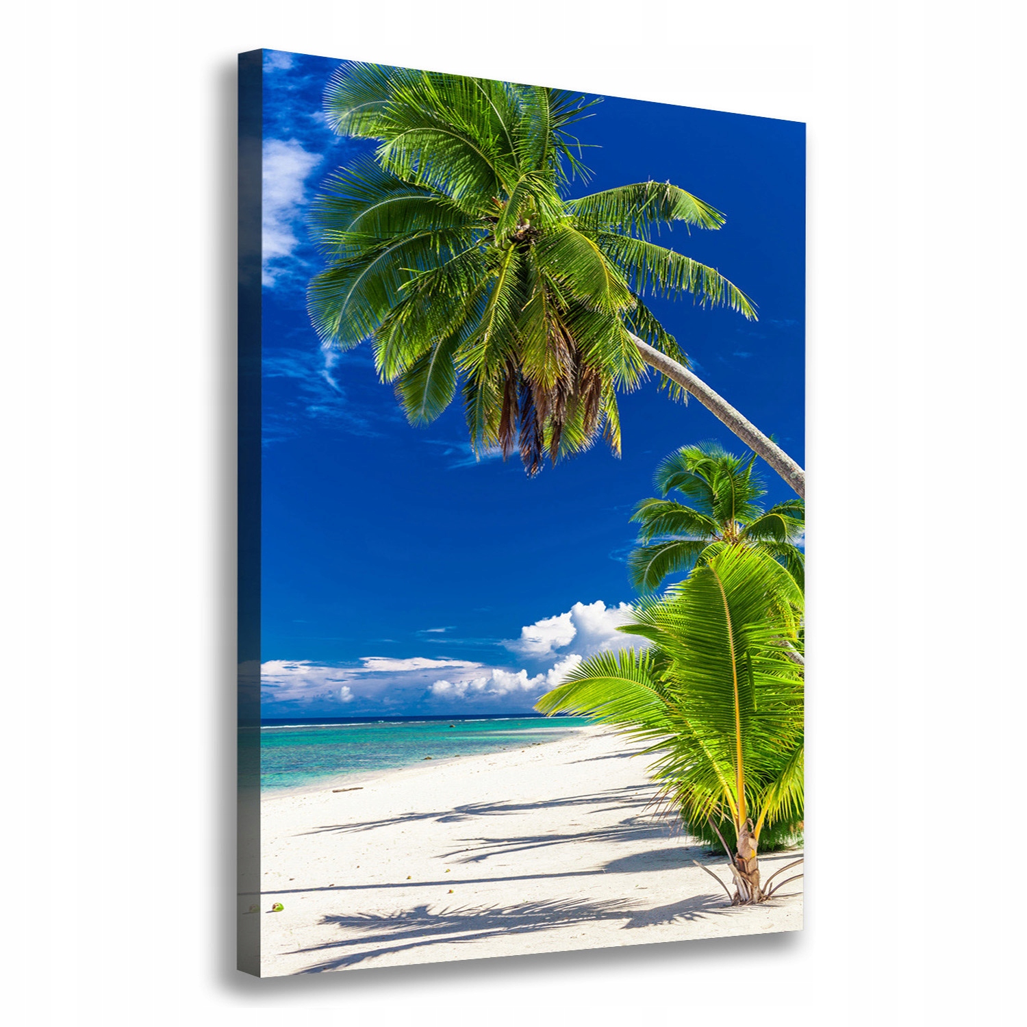 

Foto obraz na płótnie Tropikalna plaża 70x100 cm