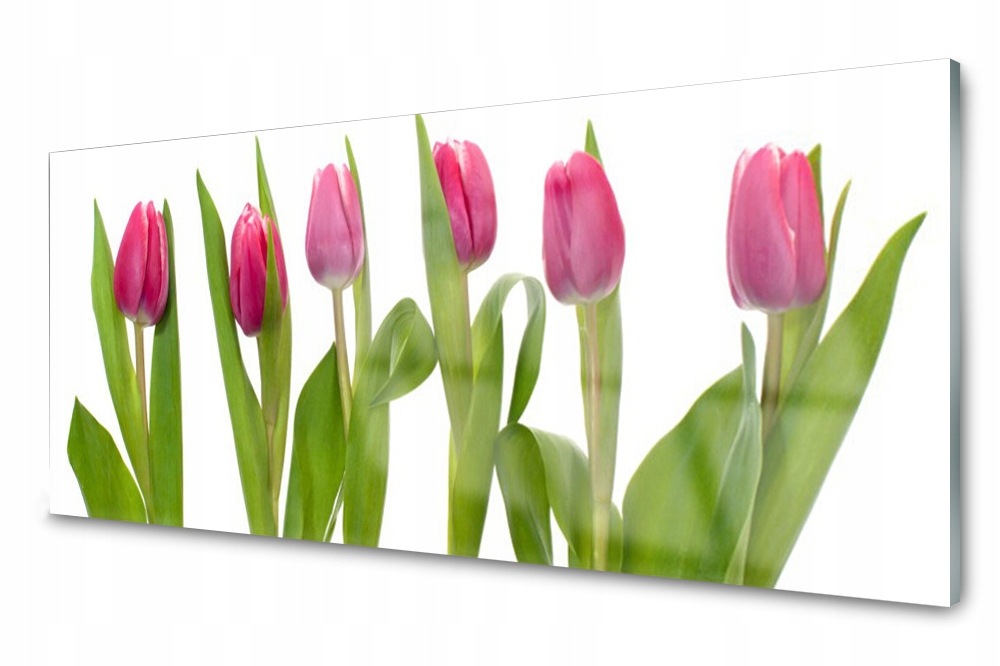 Sklenený panel do kuchyne Tulipány Kvety 125x50
