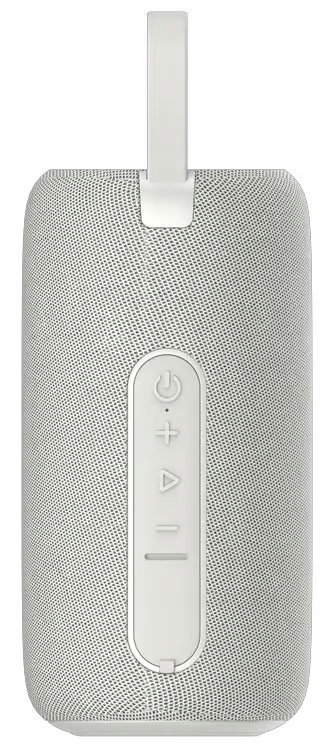 Głośnik przenośny Fresh 'n Rebel 1ARB700IG V1 001 szary 16 W