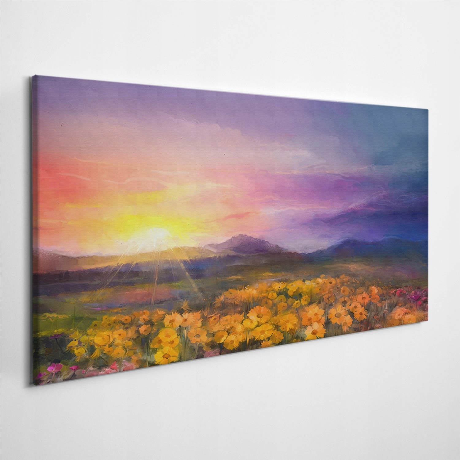 

Obrazy na płótnie Rośliny Stokrotki Łąka 100x50 cm