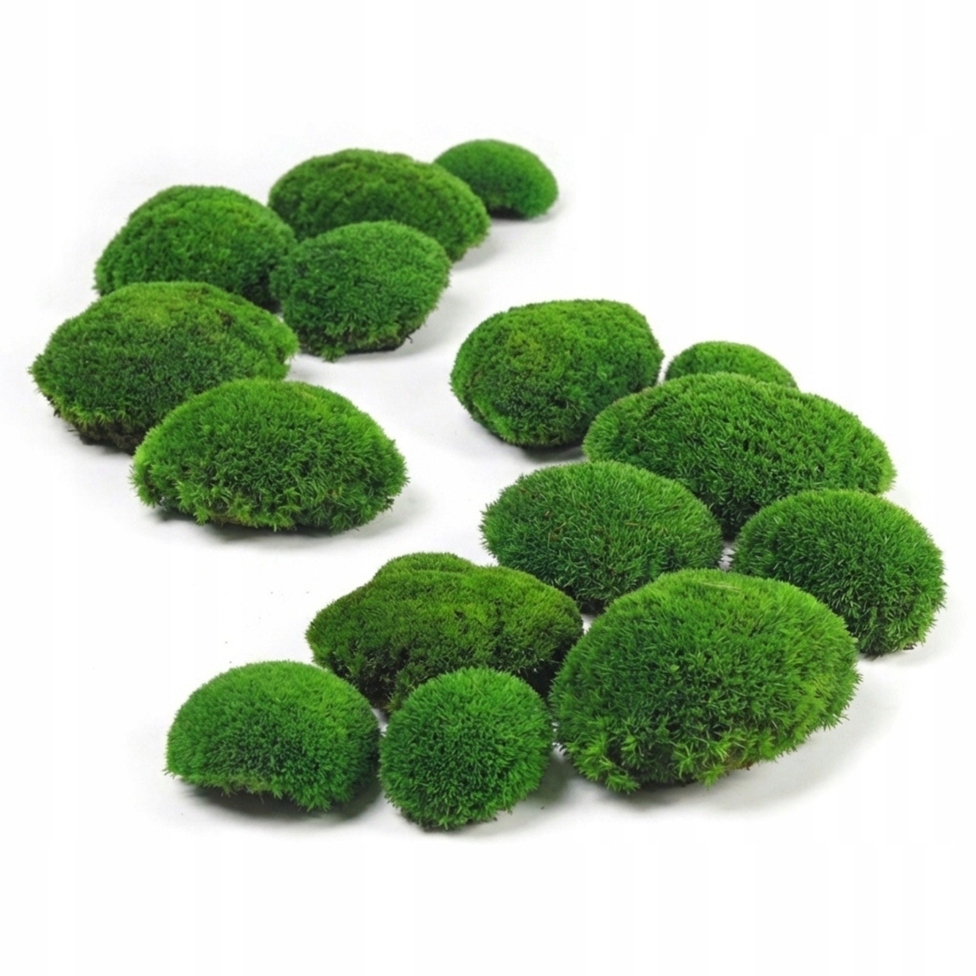 Polštářový mech švédský 130 g čistý středně zelený Dekorativní živý ozdobný