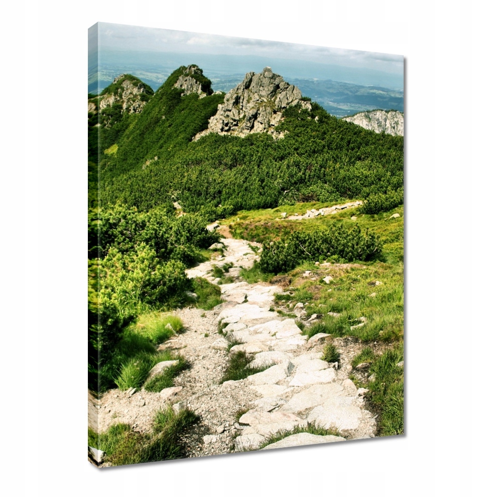 Obraz 60x80 Hory Tatry