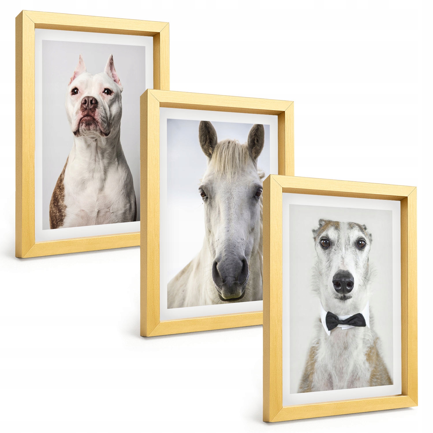 Moderní dekorace Portréty psů a koní, elegantní 3-dílná sada