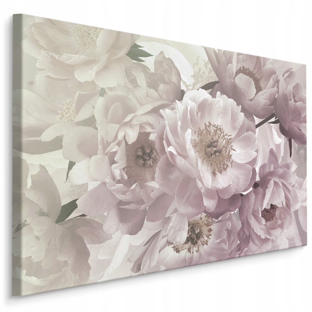 

Obraz kwiaty natura piwonie vintage salon 120x80