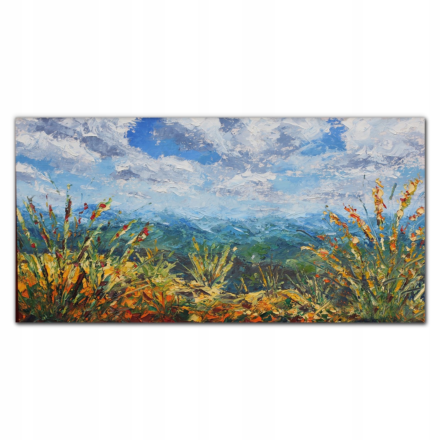 

Panel ścienny do kuchni szkło Chmury góry 100x50