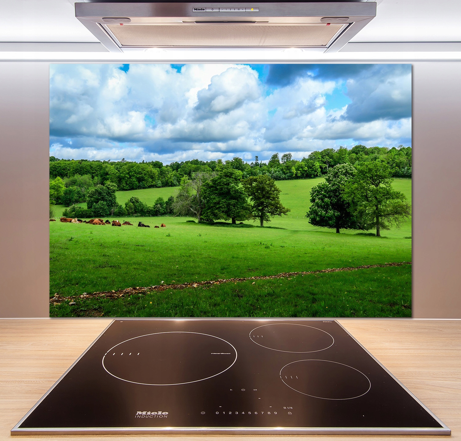 

Panel do kuchni Zielone wzgórza 100x70 cm + Klej