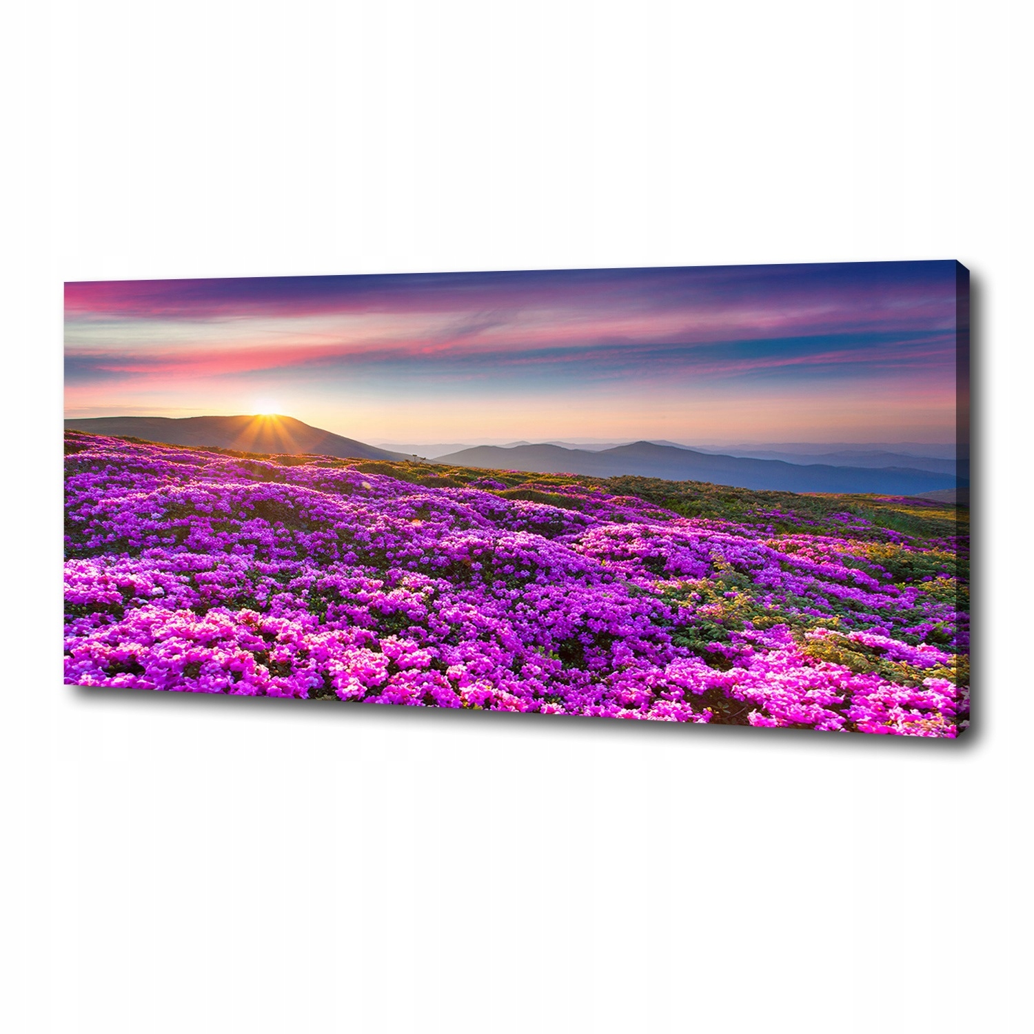 

Foto obraz na płótnie Kwiaty w górach 125x50 cm