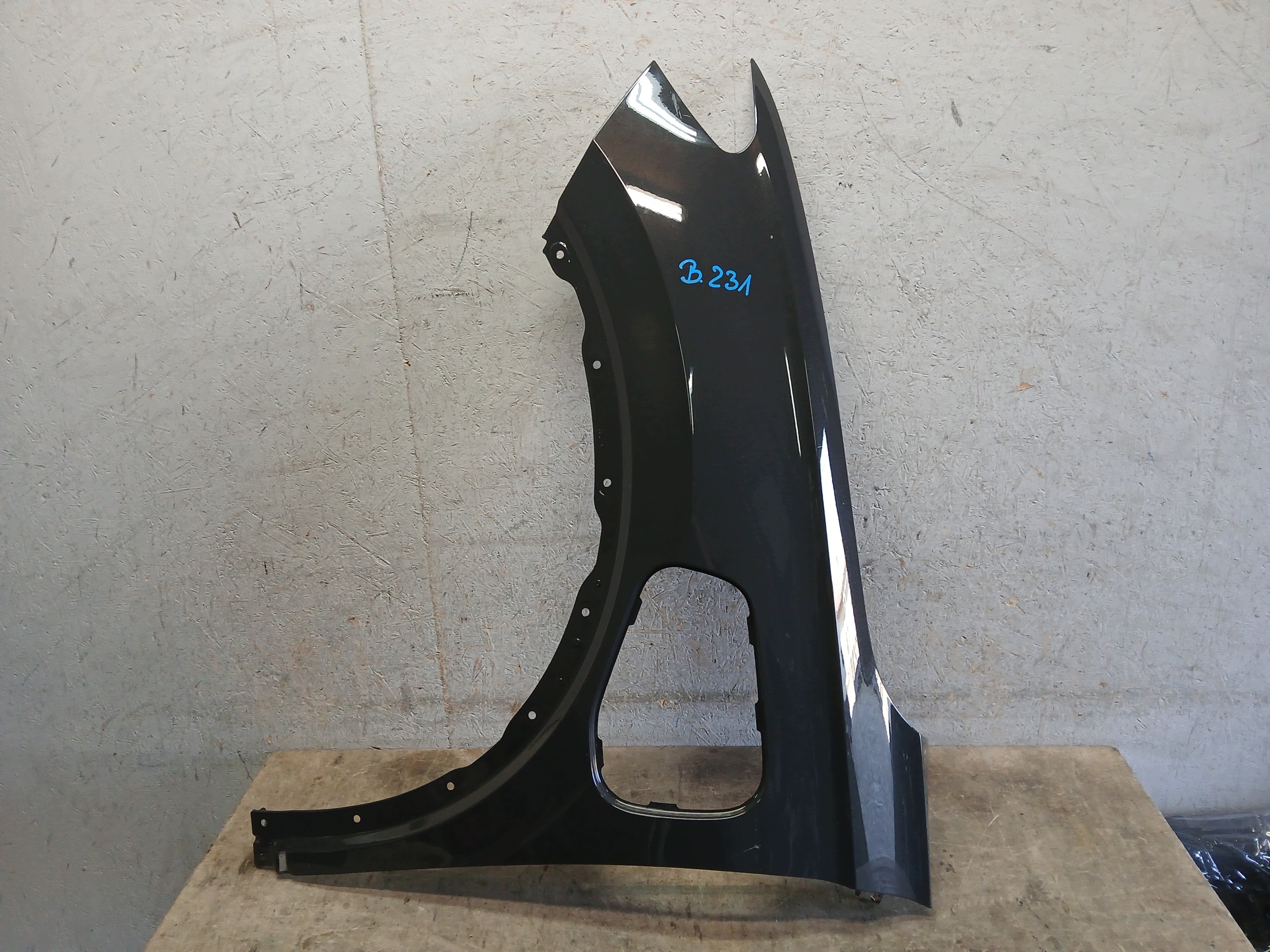 fender front left VW TIGUAN III 3 571 23