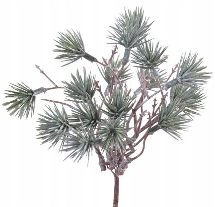 BUKIET GAŁĄZEK ŚWIĄTECZNA GAŁĄZKA MODRZEW JODŁA